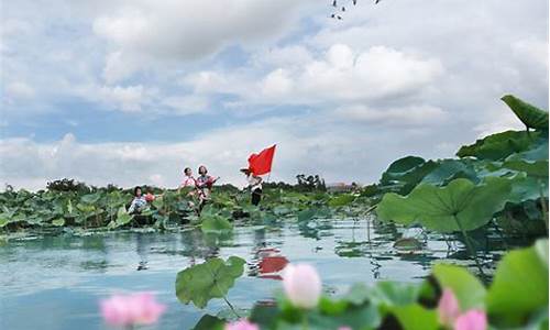 洪湖水浪打浪_洪湖水浪打浪简谱教唱视频