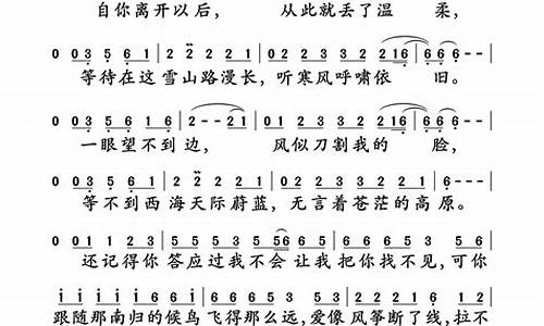 西海情歌歌词表达什么感情_西海情歌歌词